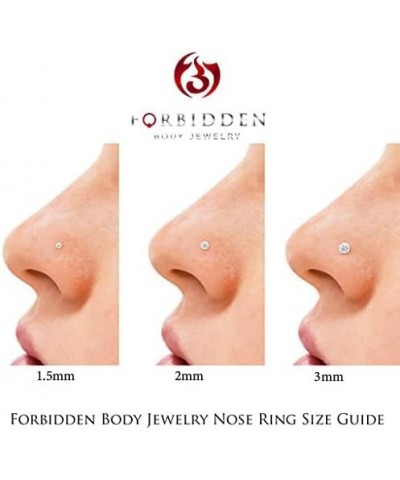 Set of 2 Styles Nose Rings: Sterling Silver Gold Plated 1.25mm CZ Stud and 9mm Nose Hoop $8.66 Body Jewelry