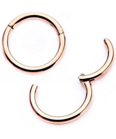 Rose Gold Titanium Anodized Precision 316L Surgical Steel Hinged Segment WildKlass Simply Clicker Rings 14 GA, Length: 10mm, ...