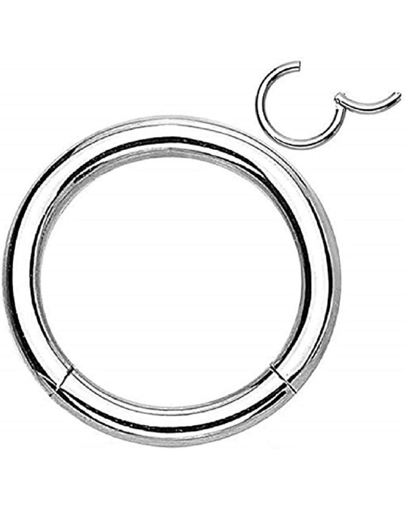 Pair of 316L Surgical Steel Hinged Segment WildKlass Rings 16g 9mm Silver $6.06 Body Jewelry