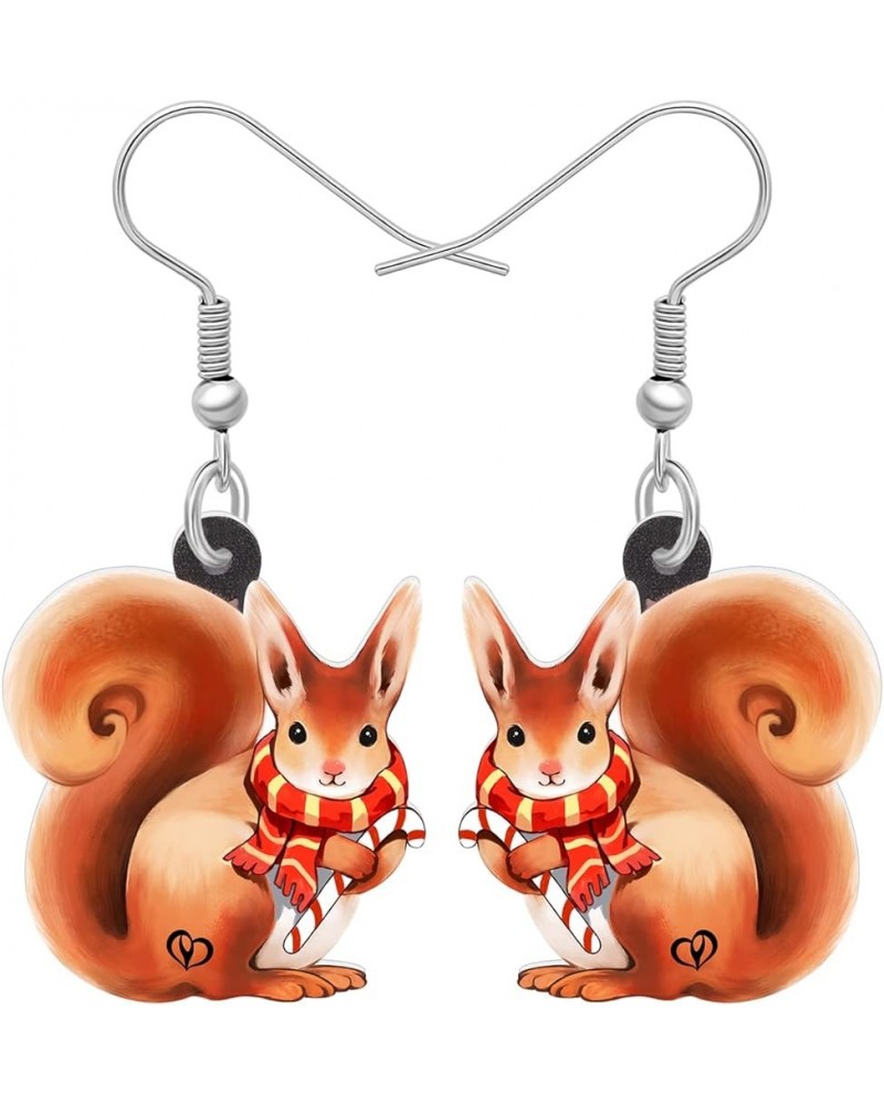 Cute Acrylic Squirrel Earrings Dangle Drop Squirrel Jewelry Gifts for Women Children Girls Squirrel B $7.01 Earrings