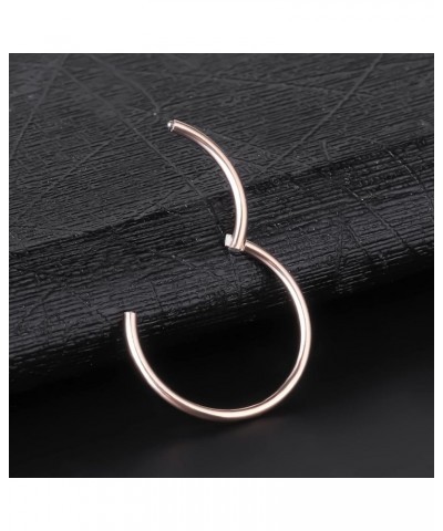 316L Surgical Steel Septum Nose Rings 18G 16G 14G Nose Rings Hoops Hinged Segment Ring Cute Cartilage Helix Earring Nose Pier...