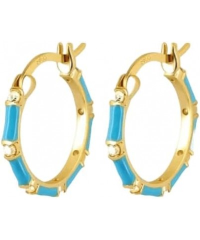 925 Sterling Silver Needle Fashion Hoop Earrings for Women Blue Pendant 18K Gold Earrings -D3011 LN0952-3 $9.00 Earrings