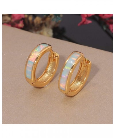 Huggie Earrings Opal Hinged Hoop Earrings Gold Plated Hypoallergenic Small Hoop Earrings for Women Teen Girls Men Sensitive E...