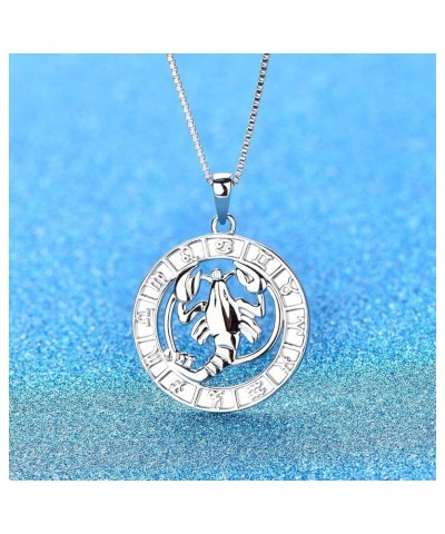 Constellation Necklace 925 Sterling Silver Zodiac Jewelry Astrology Disc Horoscope Pendant 18K White Gold Plated,Box Chain F:...