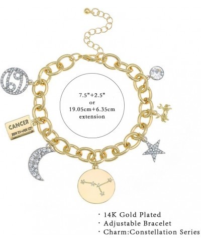 Personalization Collection Gold Plated Zodiac Constellation Symbol | Name Plate | Moon | Constellation | Star | Stone Charms ...