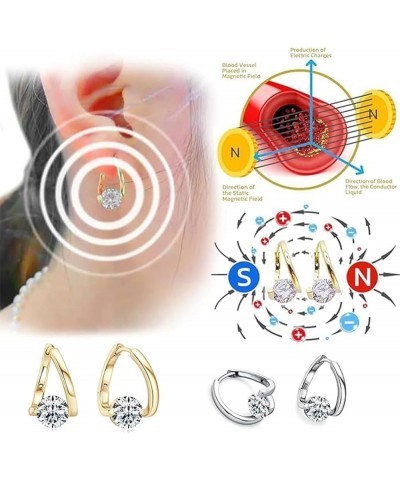 Prokeng Earrings - Prokeng Lymphvity Magnetic Therapy Earrings, Lymphvity MagneTherapy Germanium Earrings Silver $9.47 Earrings