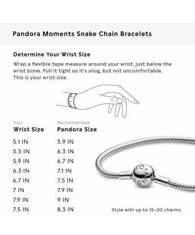 Heart Clasp Snake Chain Silver for Women 6.2 Inches Sterling Silver 6.2 Inches $24.99 Necklaces