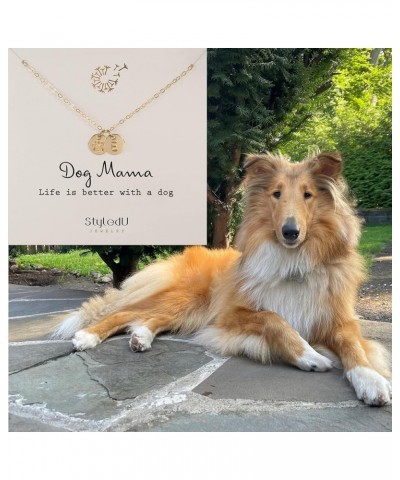 Personalized Dog Paw Necklace for Women, 14k Gold Filled Initial Jewelry for Dog Lovers S $17.98 Necklaces